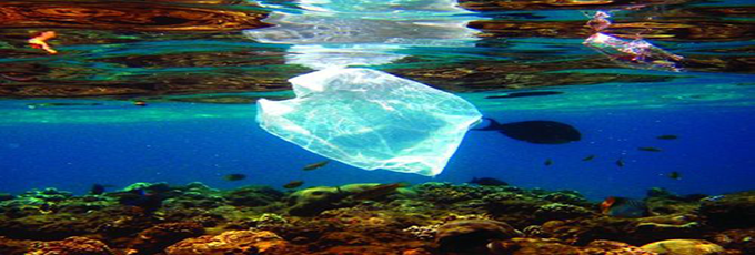 为解决海洋塑料污染 强生宣布停售塑胶棉花棒