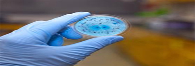 带你了解五大抗菌塑料的制备方法工艺 