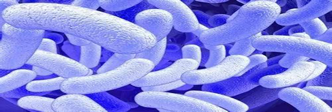 微生物降解塑料技术的可行性方面取得突破