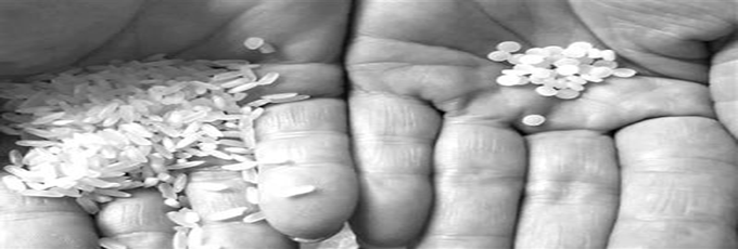 塑料造的大米流入市场？谣言！