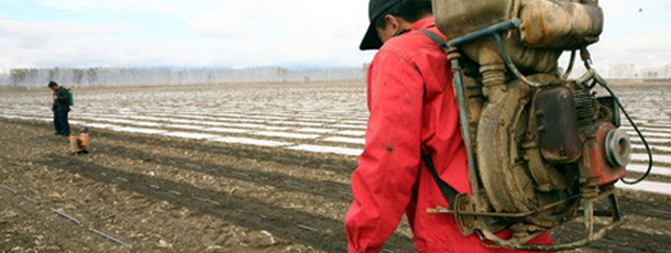 挽救60万亩耕地 可生物降解地膜肩负重任