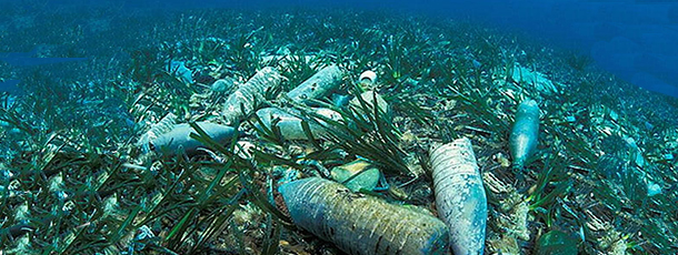 日本近海微型塑料超世界平均值27倍 生态担忧